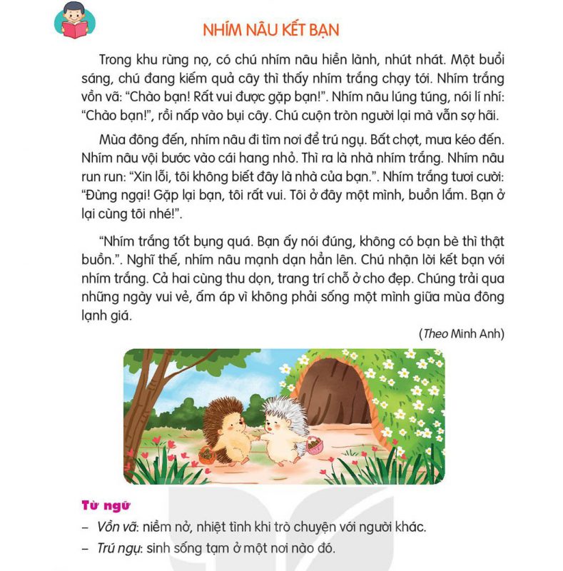 Bài 20 Nhím nâu kết bạn lớp 2