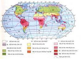 Thực hành: Đọc bản đồ các đới và các kiểu khí hậu trên Trái Đất phân tích biểu đồ một số kiểu khí hậu - Địa li 10