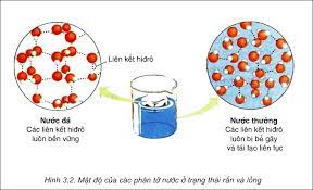 Các nguyên tố hóa học và nước - Sinh Học 10