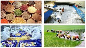 Vai trò đặc điểm các nhân tố ảnh hưởng tới sự phát triển và phân bố nông nghiệp lâm nghiệp thủy sản - Địa li 10