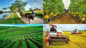 Tổ chức lãnh thổ nông nghiệp, một số vấn đề phát triển nông nghiệp hiện đại trên thế giới và định hướng phát triển nông nghiệp trong tương lai - Địa li 10
