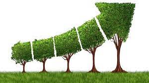 Phát triển bền vững và tăng trưởng xanh - Địa li 10
