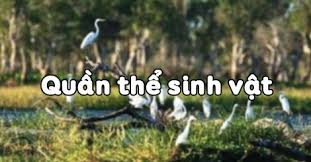 Quần thể sinh vật - Sinh học lớp 9