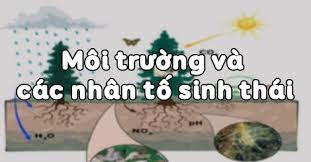 Môi trường và các nhân tố sinh thái - Sinh học lớp 9