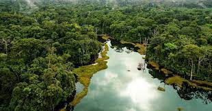 Đặc điểm dân cư, xã hội Trung và Nam Mĩ, khai thác, sử dụng và bảo vệ rừng Amazon - Địa Lí lớp 7