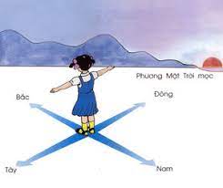 Xác định phương hướng ngoài thực tế - Địa Lí lớp 6