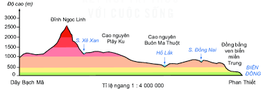 Thực hành: Đọc lược đồ địa hình tỉ lệ lớn và lát cắt địa hình đơn giản - Địa Lí lớp 6
