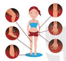Điều hòa môi trường trong của cơ thể người - Khoa học tự nhiên lớp 8 Kết Nối Tri Thức